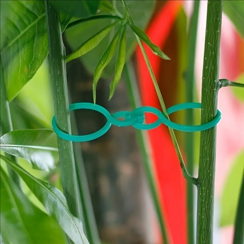 125Pcs Garden Plant Support Ki - огляд і ціна Plant Parent Kit