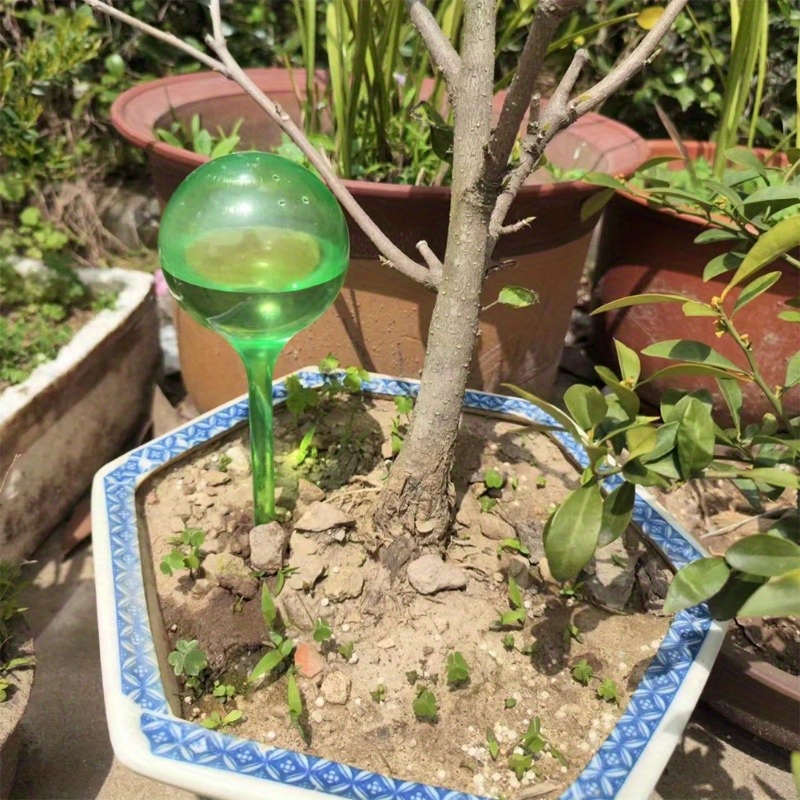 6PCS Indoor Plants Self Wateri - огляд і ціна Plant Parent Kit