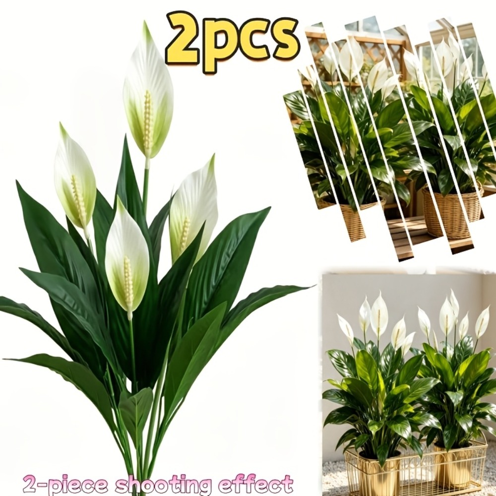 2 Piece High Quality Large Art - огляд і ціна Peace Lily White