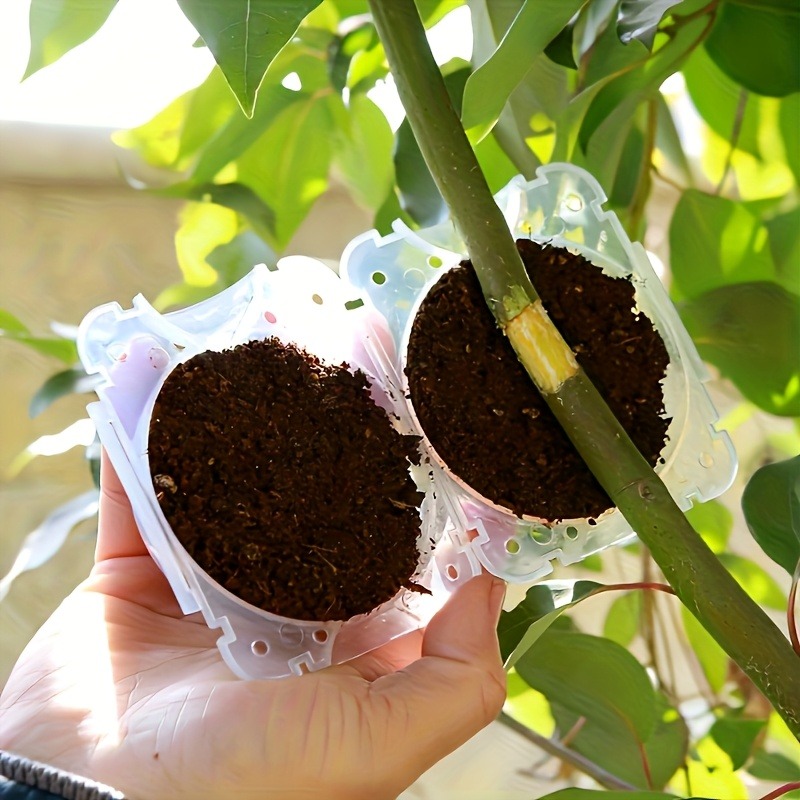 10Pcs High Pressure Plant Root - огляд і ціна Plant Parent Kit
